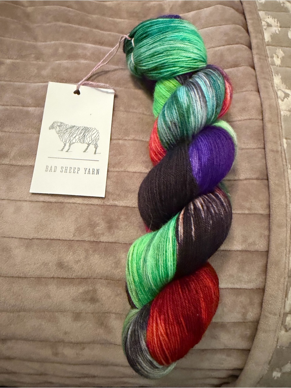 Bad Sheep Yarn Multicolor Hand-Dyed Skein - Green, Purple, Red, Black